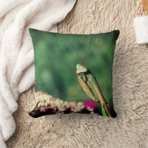 Praying Mantis Up Close Throw Pillow