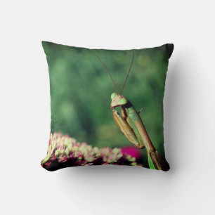 Praying Mantis Up Close Throw Pillow