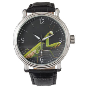Praying mantis watch