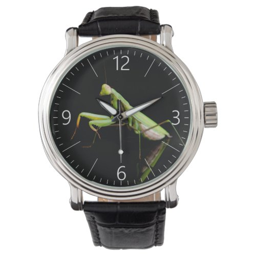 Praying mantis watch