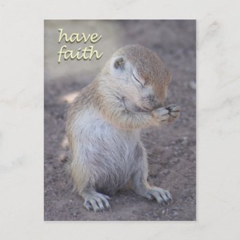 Praying Squirrel Post Card by poozybear at Zazzle