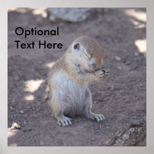 Praying Squirrel Poster Enlargement