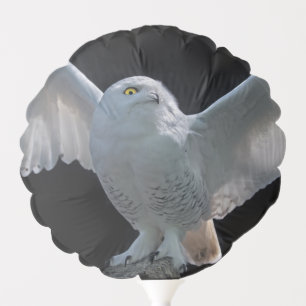 Pre-Flight Check Balloon