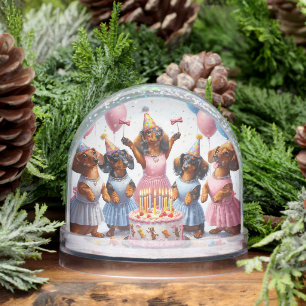 Pre Teen Birthday Annouuncement Snow Globe