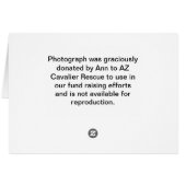 Precious a Ruby Cavalier King Charles Spaniel Cards (Back Horizontal)