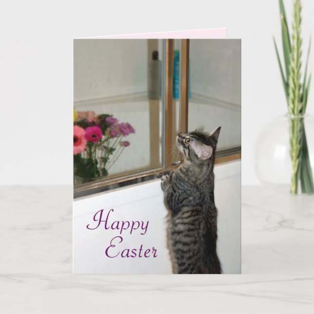Precious and Beautiful Kitten Easter Card (Front)