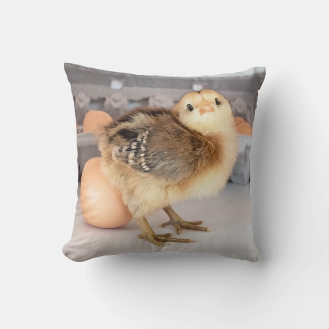 Precious Baby Chick and Eggs Throw Pillow (Front)