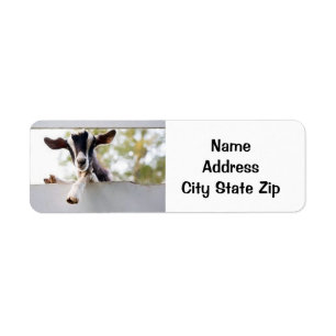 PRECIOUS BABY GOAT ADDRESS LABELS