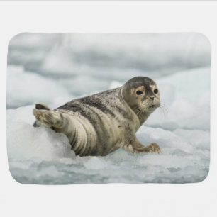 Precious Baby Seal Blanket