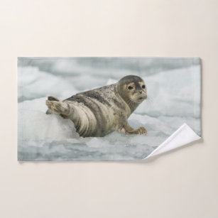 Precious Baby Seal Hand Towel