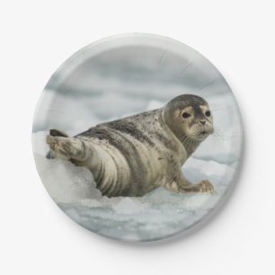 Precious Baby Seal Paper Plates