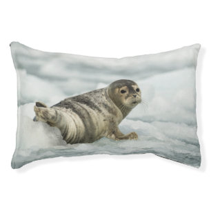 Precious Baby Seal Pet Bed