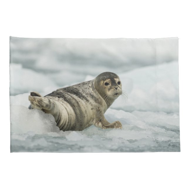 Precious Baby Seal Pillow Case (Back-Right)