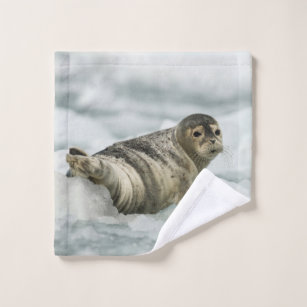 Precious Baby Seal Wash Cloth