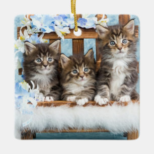 precious beautiful kittens ceramic ornament