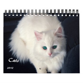 Precious Cats 2012 Calendar by NotionsbyNique at Zazzle