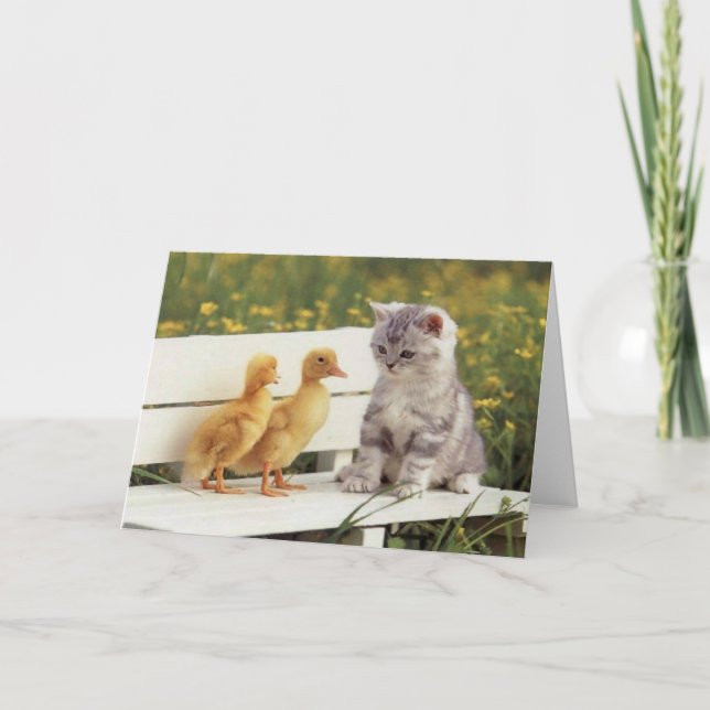 Precious Cats, Kittens Cards, Gifts -  Customize! Card (Front)