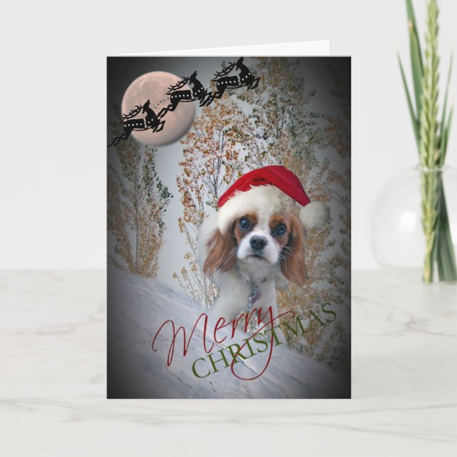 Precious Cavalier King Charles Christmas Cards (Front)