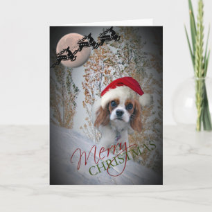 Precious Cavalier King Charles Christmas Cards