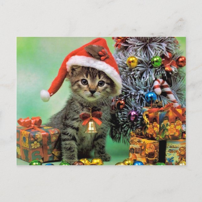 Precious Christmas Cat Holiday Postcard (Front)