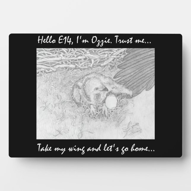 PRECIOUS E14 TAKING OZZIE'S WING LET'S GO HOME PLAQUE (Front)