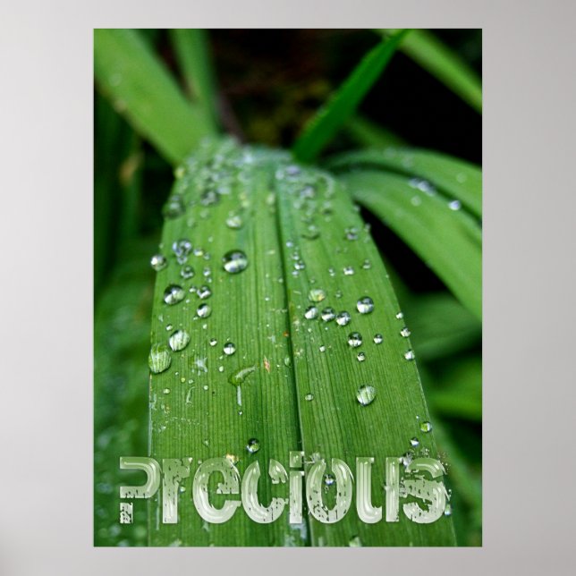 Precious Gifts of Nature Poster (Front)