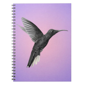 Precious Hummingbird on Pink Purple Notebook