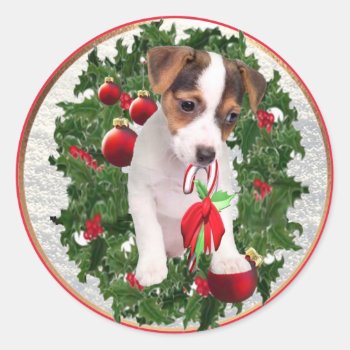 Precious Jack Russell Christmas Stickers by 4westies at Zazzle
