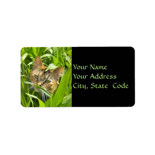Precious jungle Kitty Address Labels (Front)