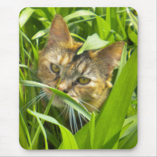 Precious Jungle Kitty Mouse Pad