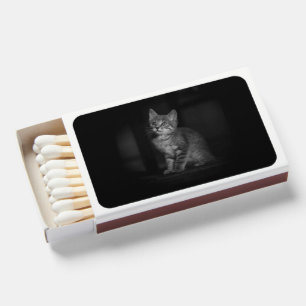 Precious Kitten  Matchboxes