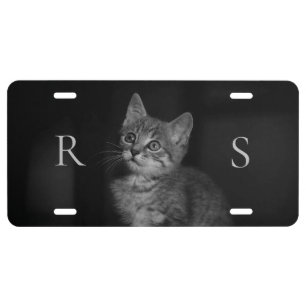 Precious Kitten Monogram License Plate
