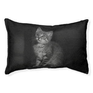 Precious Kitten Pet Bed