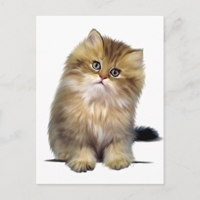 Precious Kitten Postcards (Front)