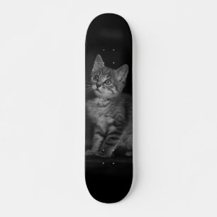 Precious Kitten Skateboard