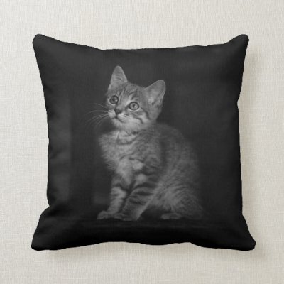 Precious Kitten  Throw Pillow