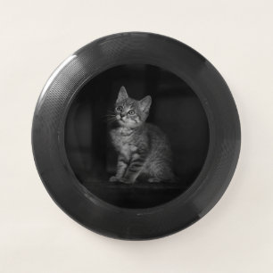 Precious Kitten Wham-O Frisbee