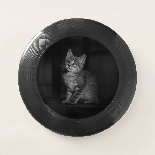 Precious Kitten Wham-O Frisbee (Front)