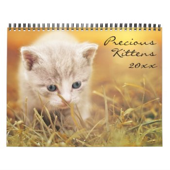 Precious Kittens  Calendar by Angharad13 at Zazzle