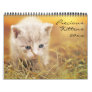 Precious Kittens  Calendar