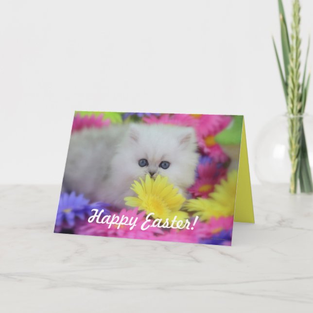 Precious Kittens Easter Greeting Card (Front)