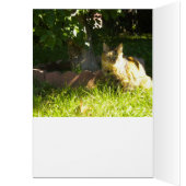 Precious Kitty All Occasion (blank) Card (Inside (Left))