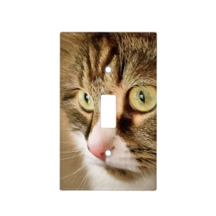 Precious Kitty Light Switch Cover