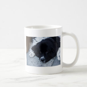 Precious Landseer Newfoundland gifts Coffee Mug