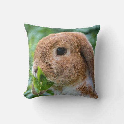 Precious Mini Lop Bunny Throw Pillow