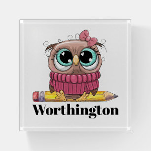 Precious Owl  Paperweight