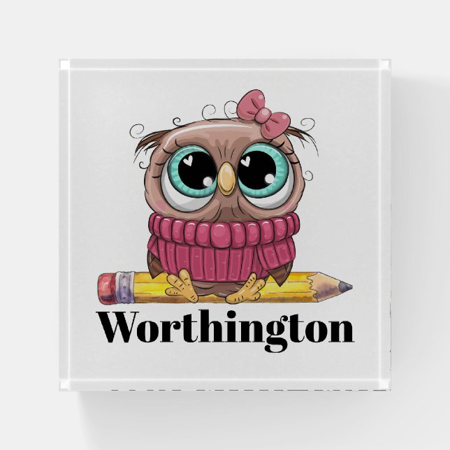 Precious Owl  Paperweight (Front)