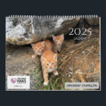Precious Paws 2025 Calendar<br><div class="desc">Help Support our mission and buy a calendar filled with some of the cats we helped medically or have rescued.</div>
