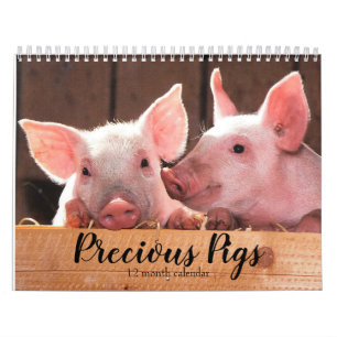 Precious Pigs 2025 Calendar