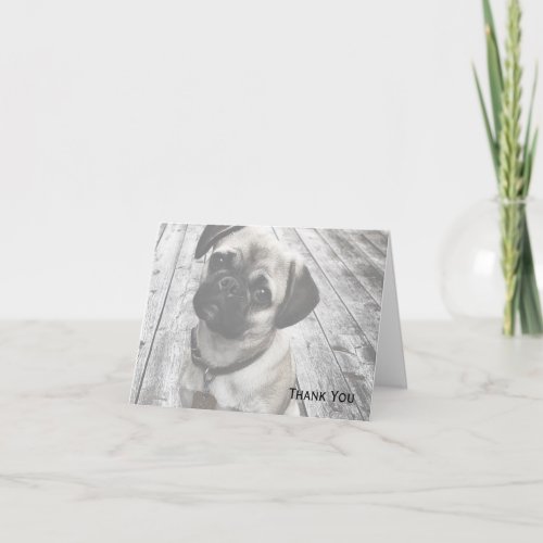Precious Pug Puppy in Black and White Thank You Card